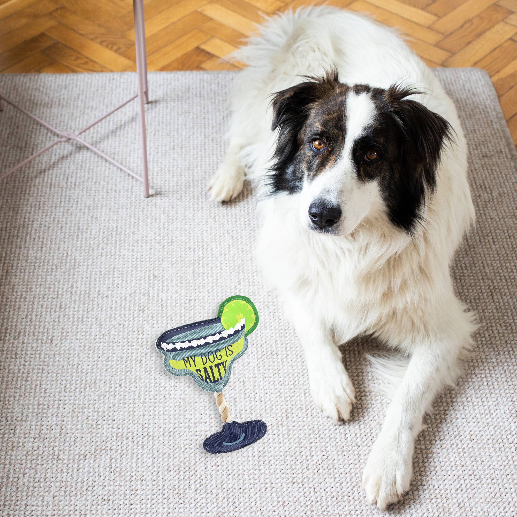 Salty Margarita - 11" Canvas Dog Toy on Rope