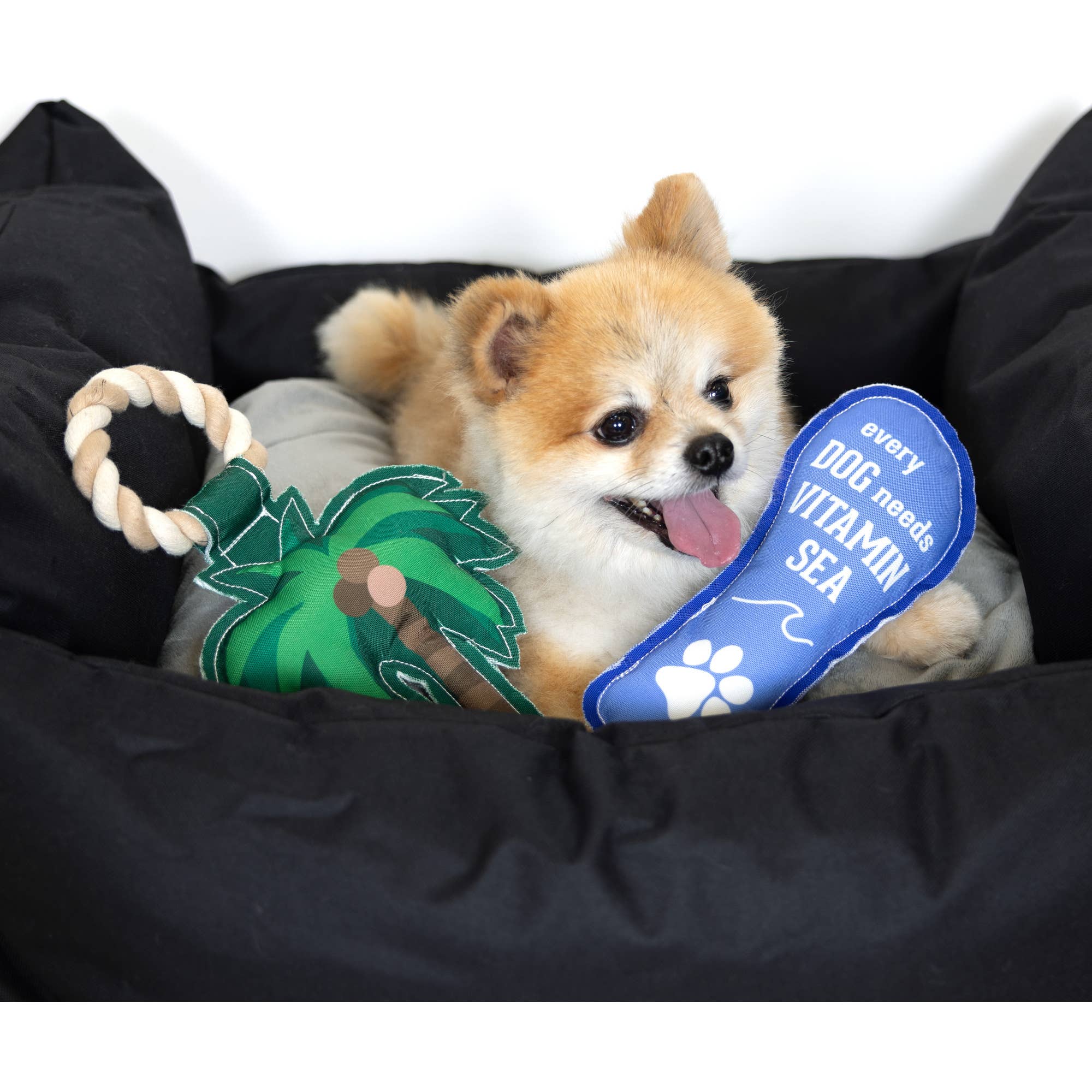Vitamin Sea - 9" Canvas Dog Toy with Rope