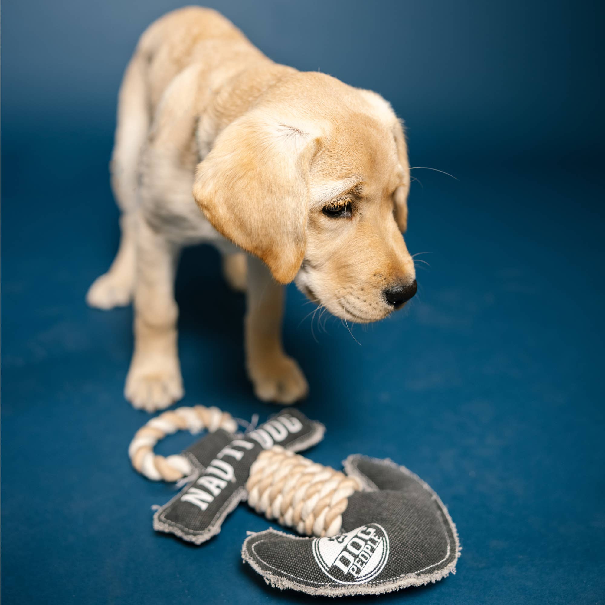 Nauti Dog Anchor - 12" Canvas Dog Toy on Rope