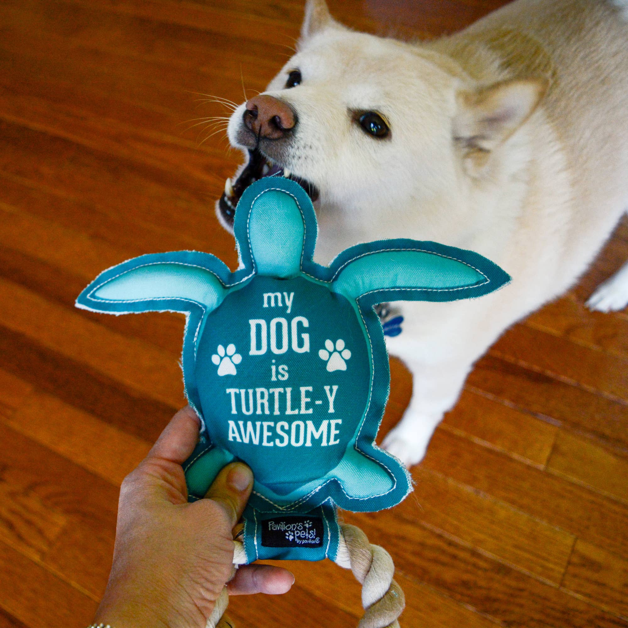 Turtle-y Awesome - 9" Canvas Dog Toy on Rope