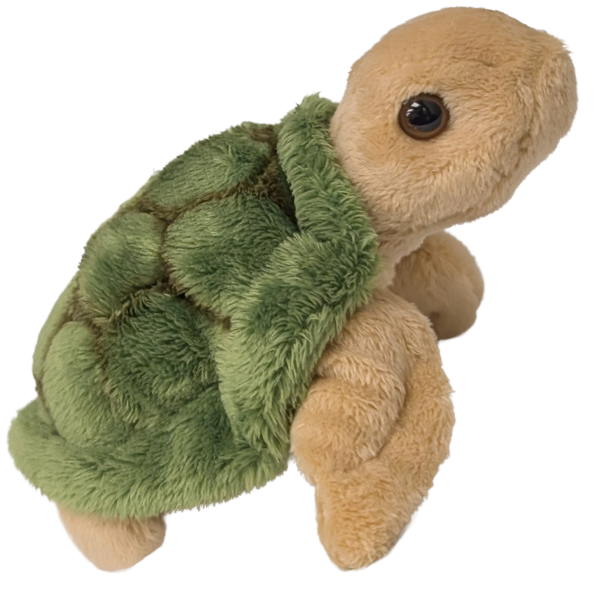 Florida Edition -Shelly the Canned Sea Turtle - Turtle Plush