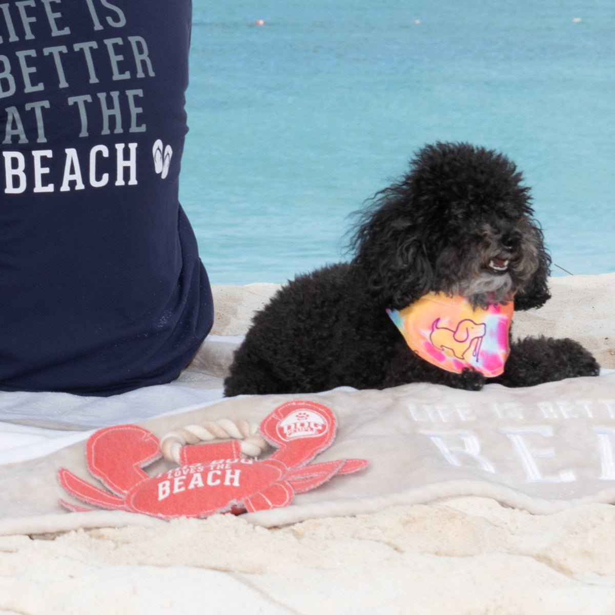 Beach Dog Crab - 10.75" x 8" Canvas Dog Toy on Rope