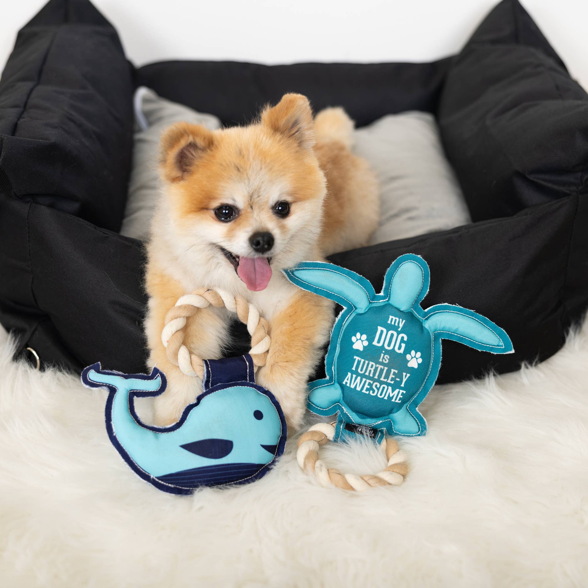 Whale-y Loved - 8" Canvas Dog Toy on Rope