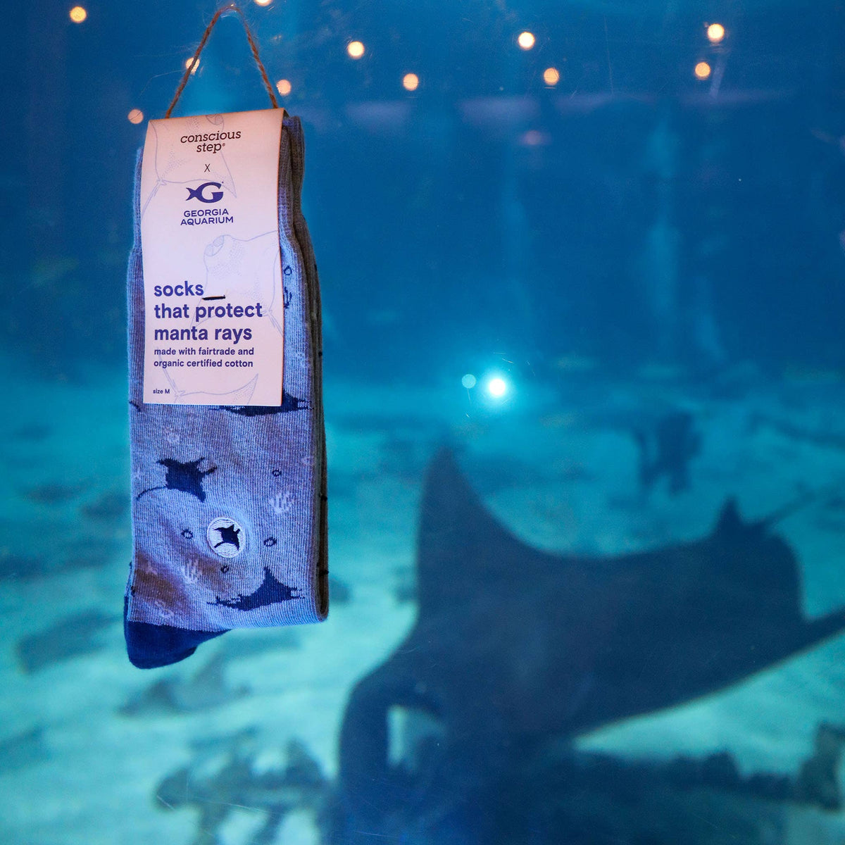 Socks that Protect Manta Rays | Ocean Gifts