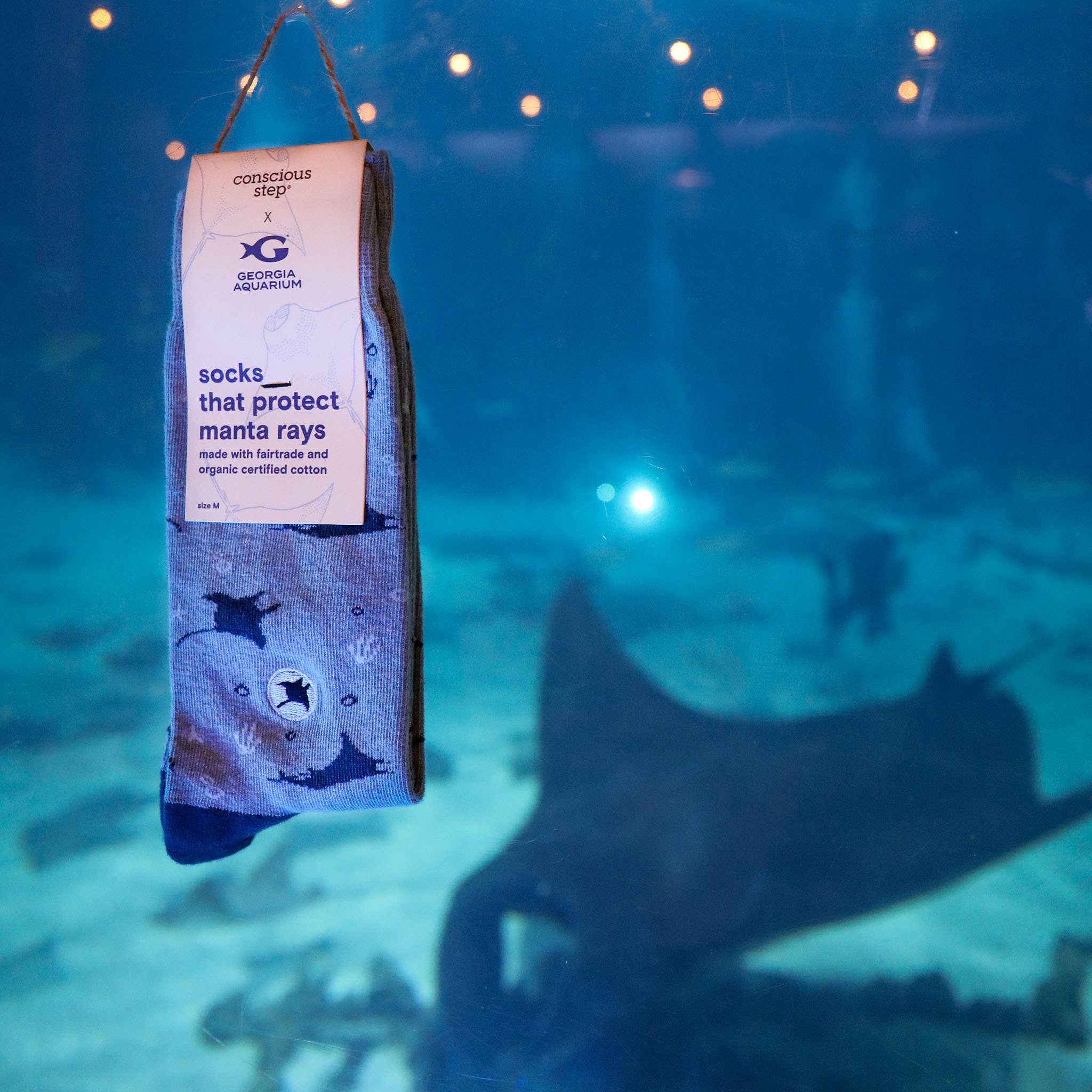 Socks that Protect Manta Rays | Ocean Gifts