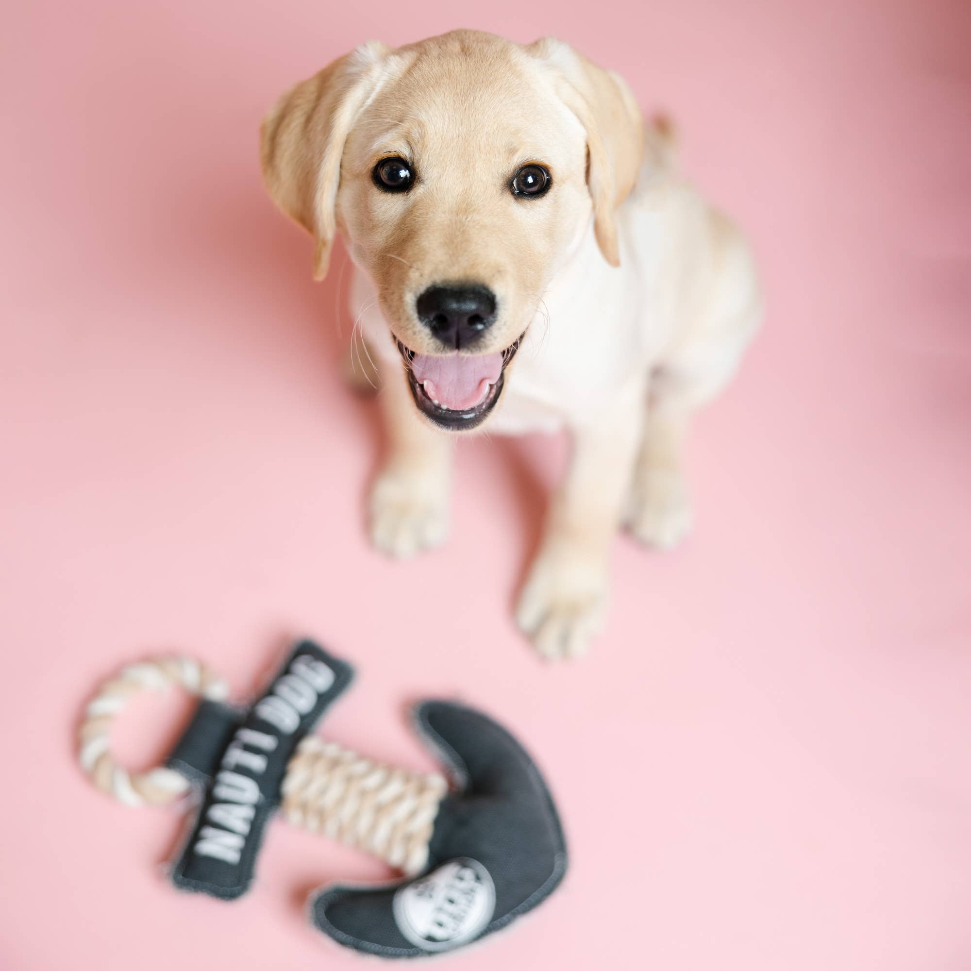 Nauti Dog Anchor - 12" Canvas Dog Toy on Rope