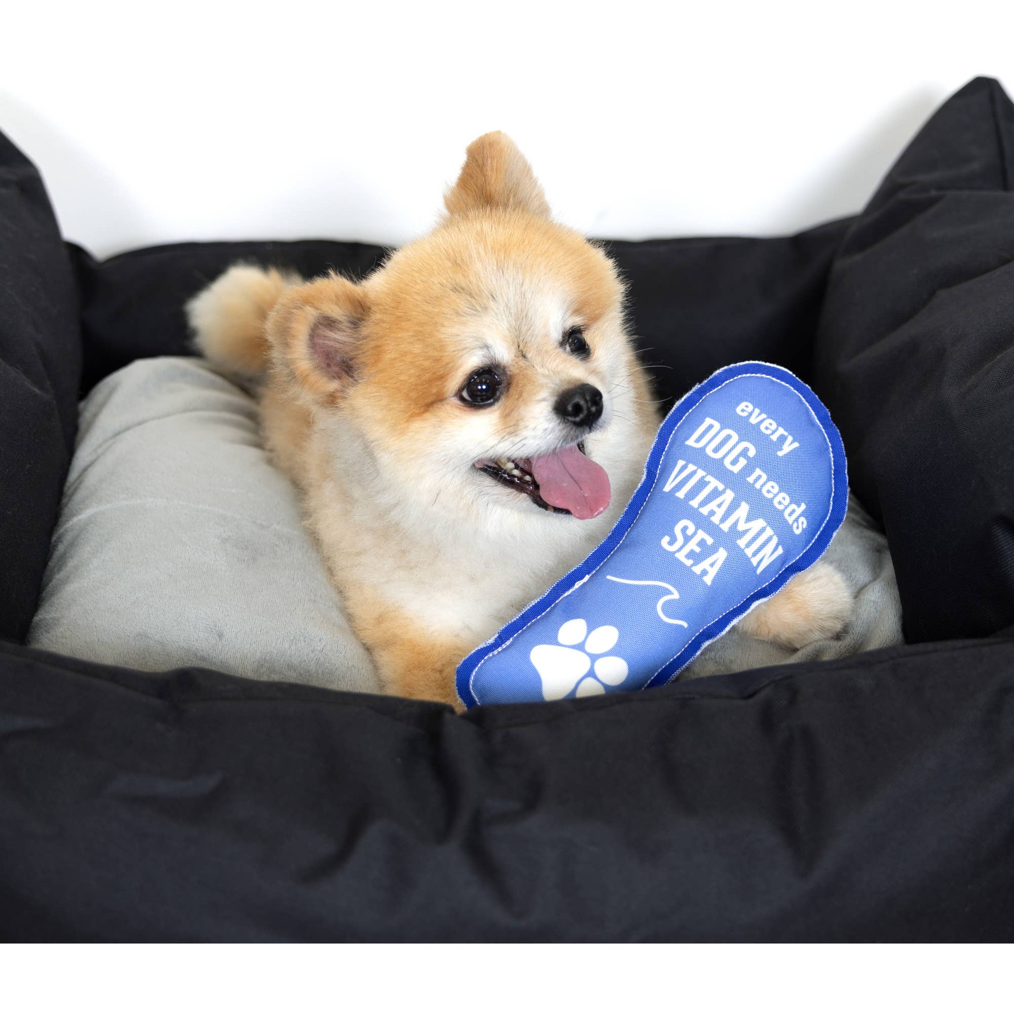 Vitamin Sea - 9" Canvas Dog Toy with Rope