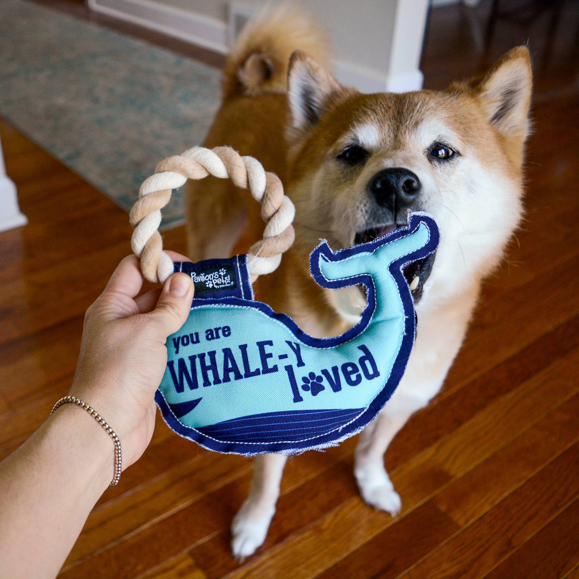 Whale-y Loved - 8" Canvas Dog Toy on Rope