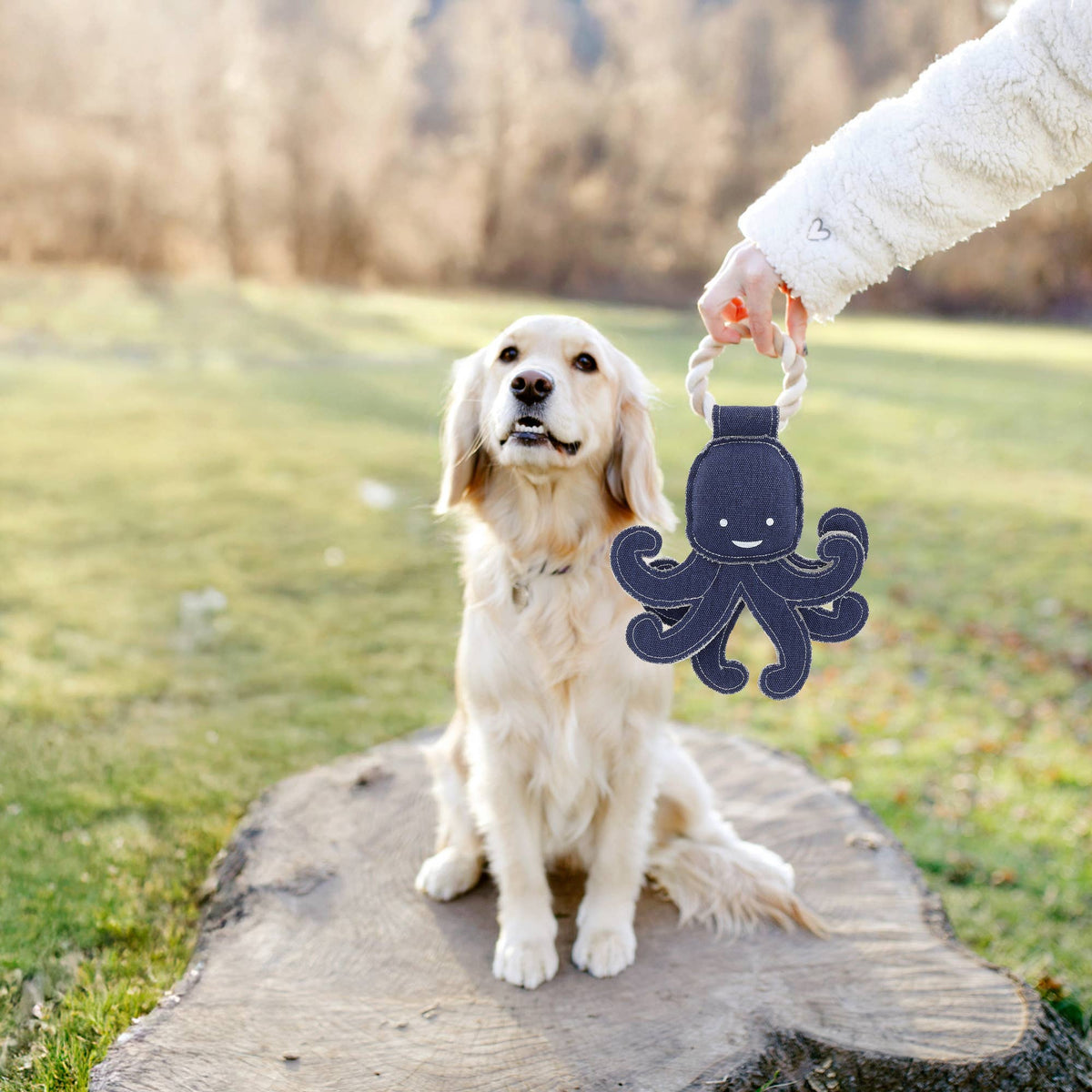 Out Of Reach Octopus - 11.5" Canvas Dog Toy on Rope
