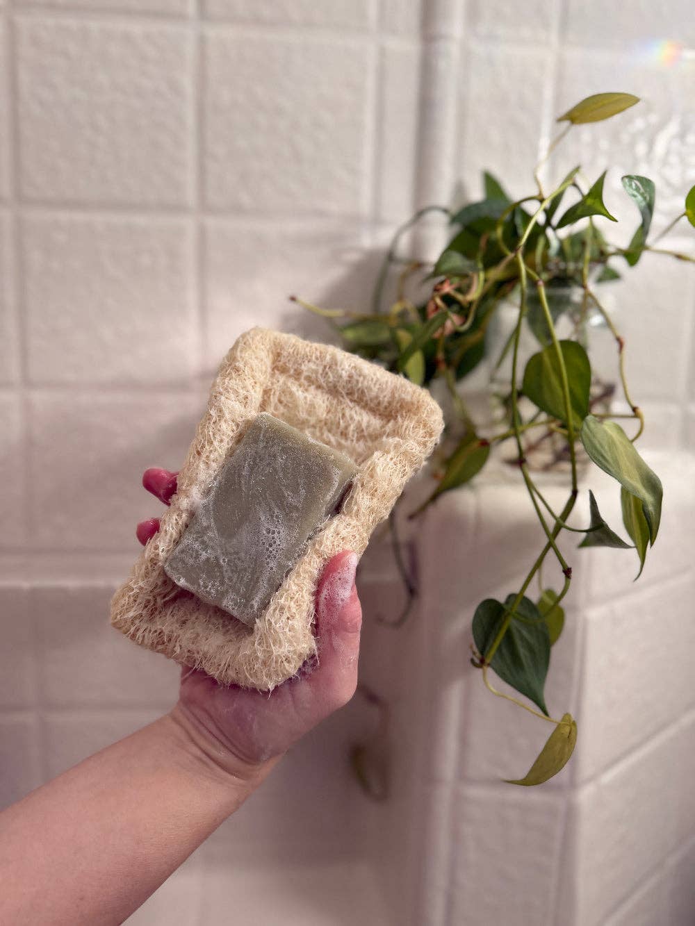 Natural Loofah Soap Dish