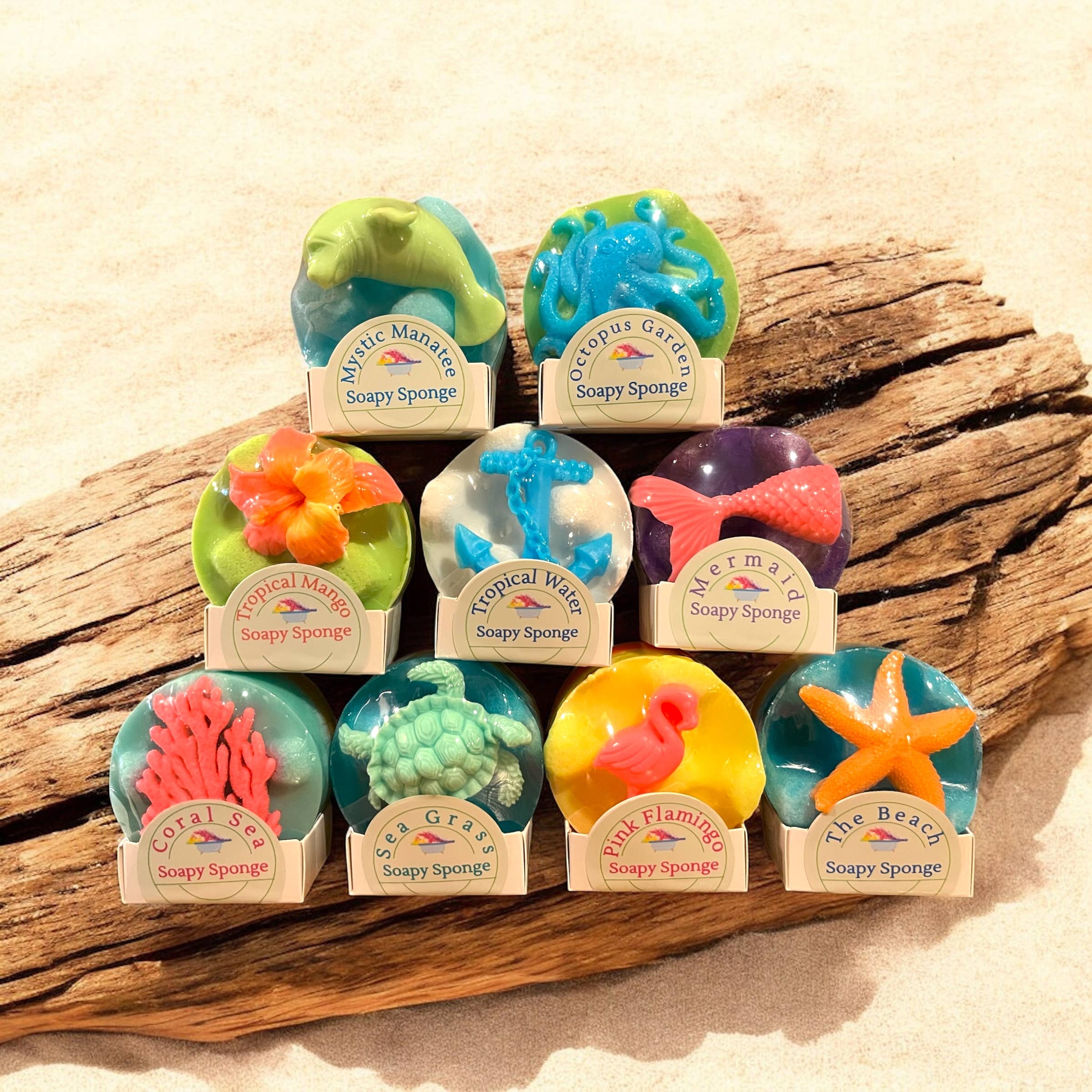 Soapy Sponge Coral Sea